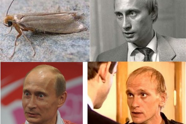 Кракен зеркало тор