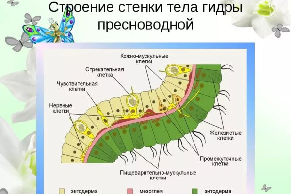 Кракен сайт официальный onion