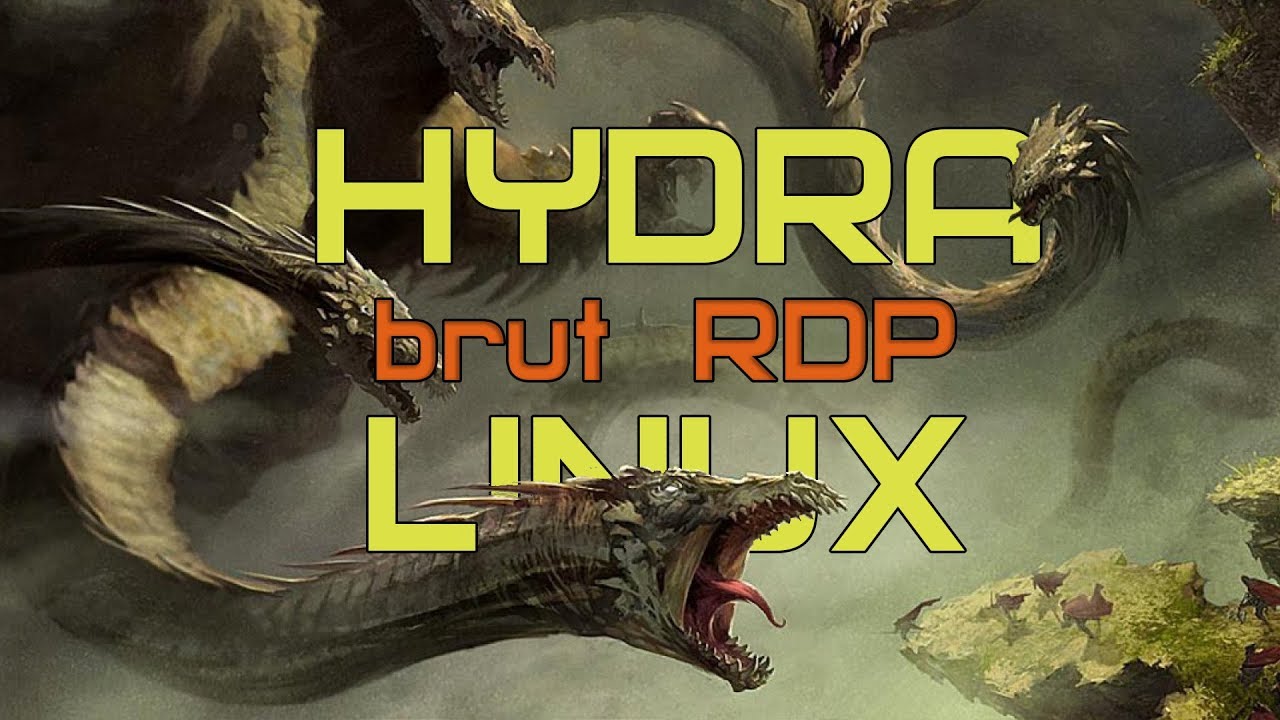 Kraken tor link