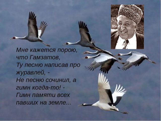 Кракен маркетплейс создатель