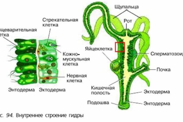 Kra45.at